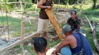 IMG-20261005-WA0055